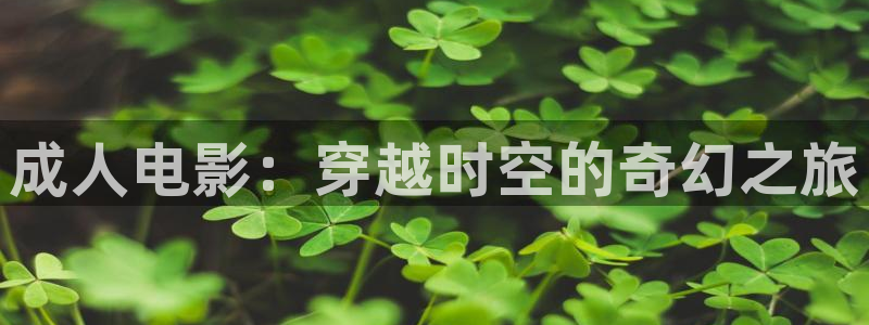 韩国电影私人岛屿在线观看
