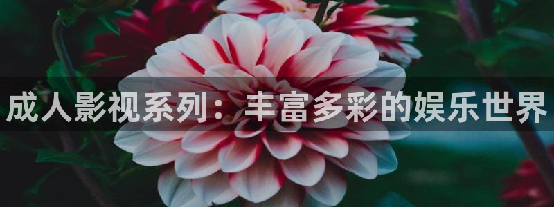 成都私人影院价格表