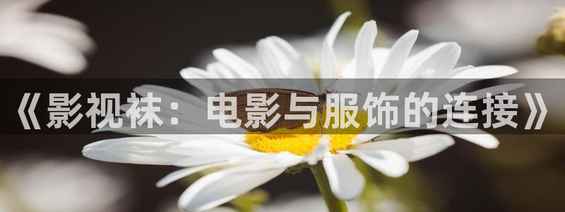 4480私人影院电视剧在线观看免费